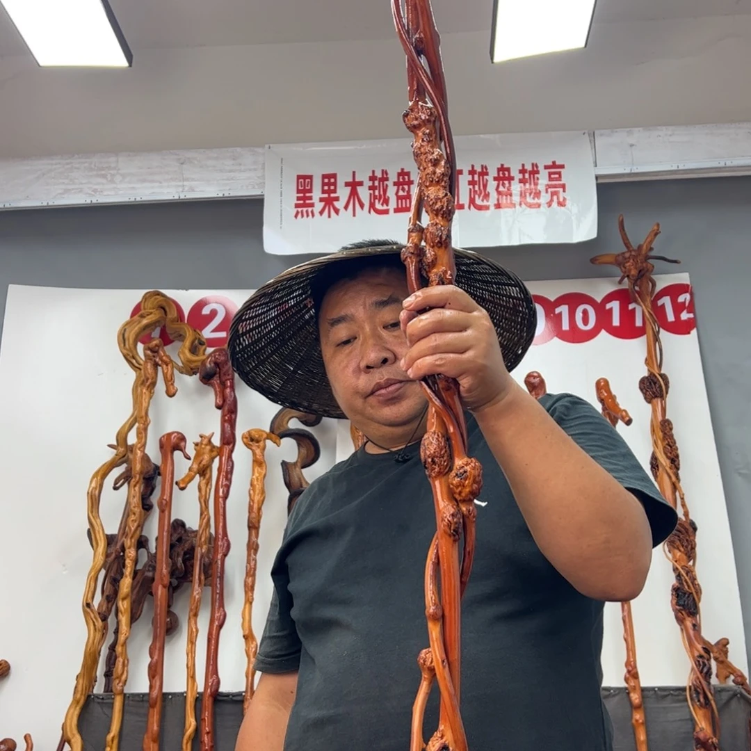 用***8黑果木其他黑果木147