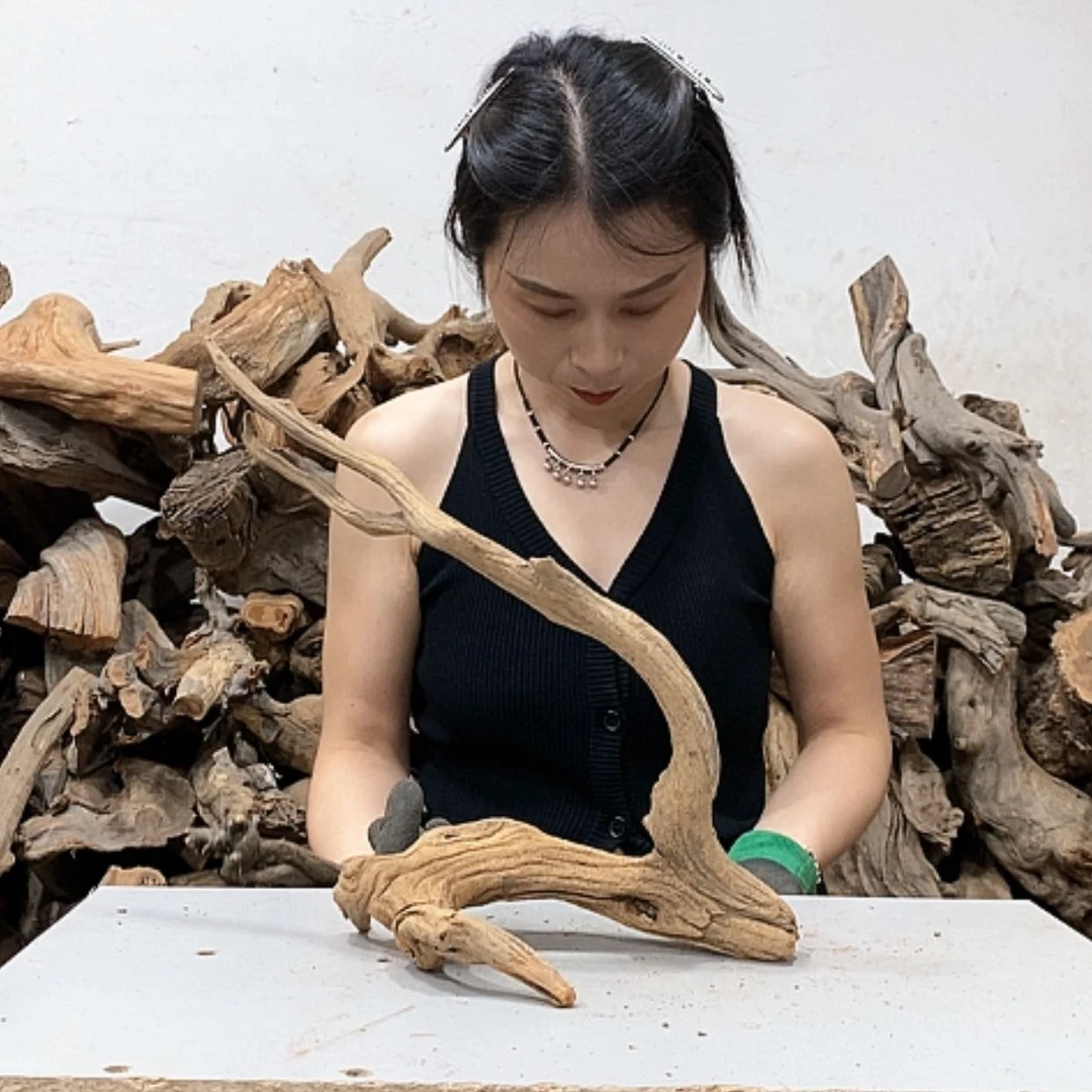 【闪购商品】柏木清**尘我们都是好孩子