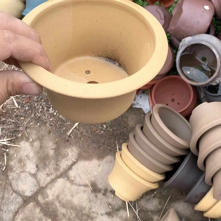 紫砂没有那么重要了！