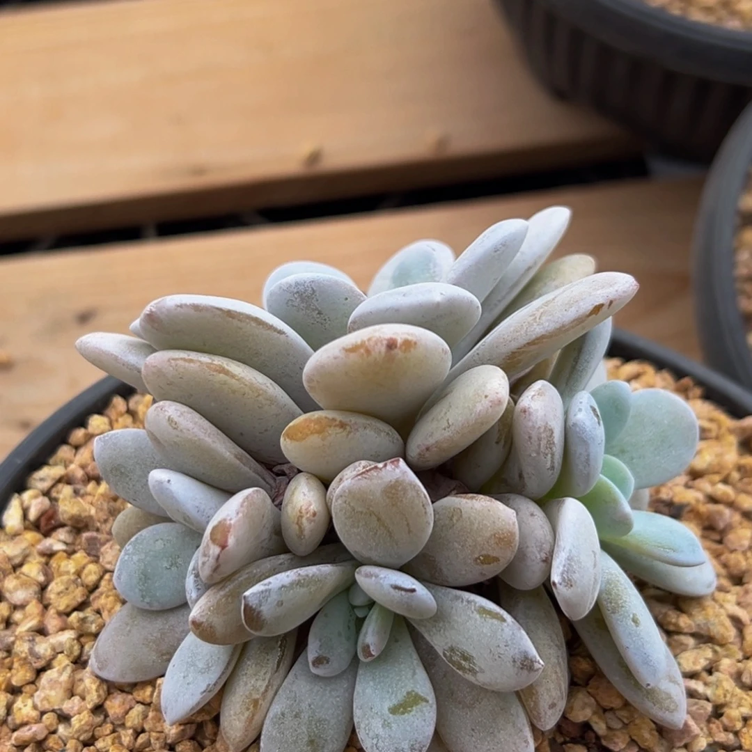 新年快乐 新年快乐 新年快乐