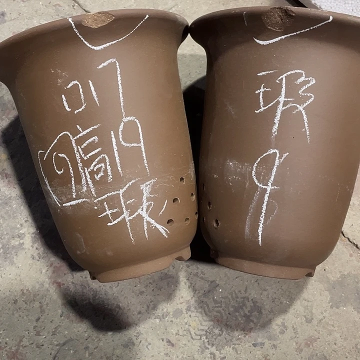 红陶紫砂紫砂紫砂