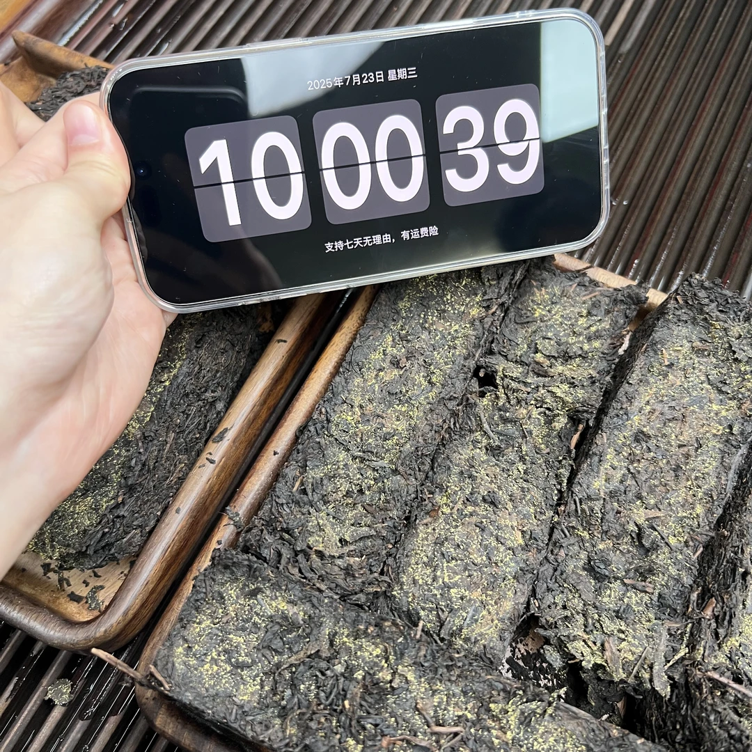 安化黑茶 茯砖 小鹿收茶 7月23