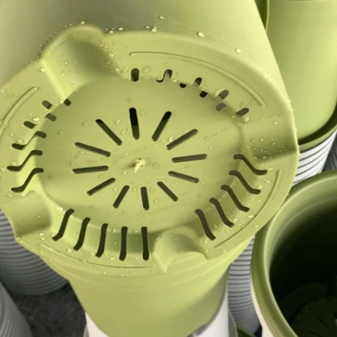 树脂29果绿带托6个