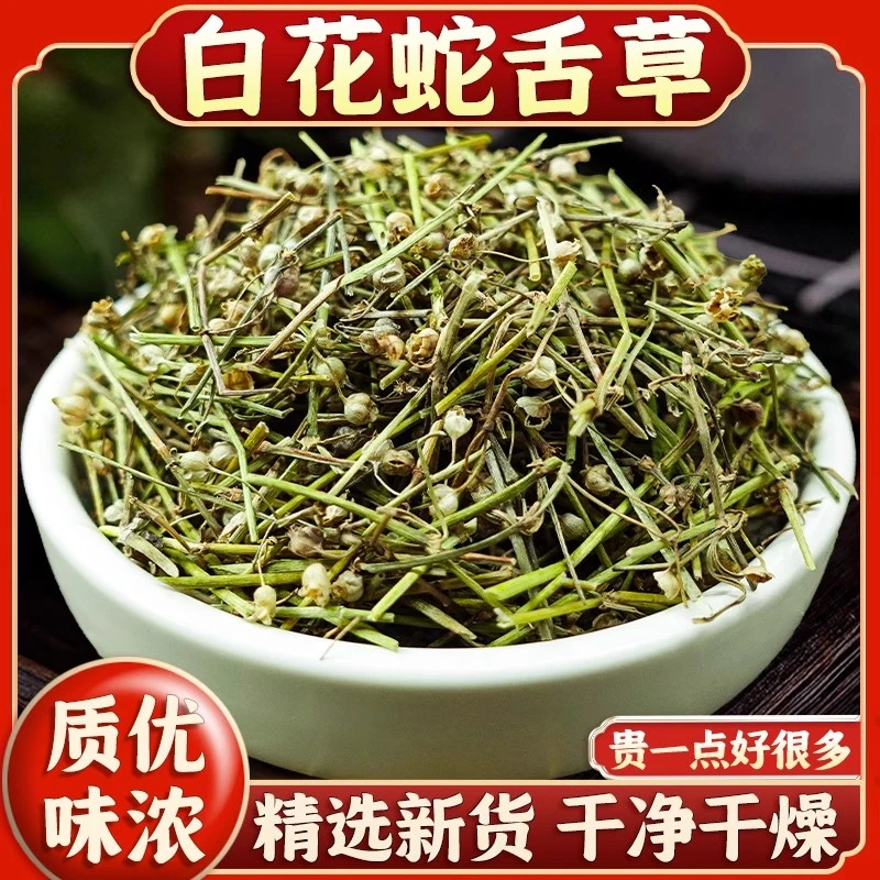 白花蛇舌草新鲜干货百花蛇舌草茶蛇舌草半枝莲煮水泡水
