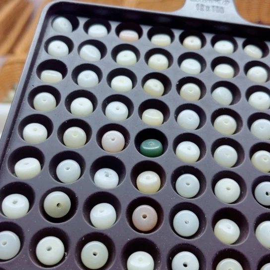 吊坠白玉菩提瑕疵10药片145