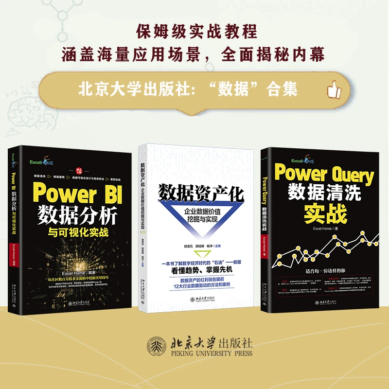 【自选】数据资产化&Power BI数据分析&PowerQuery数据清洗