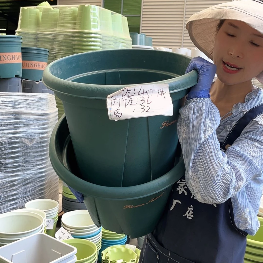 青山盆7#墨绿色5个无托