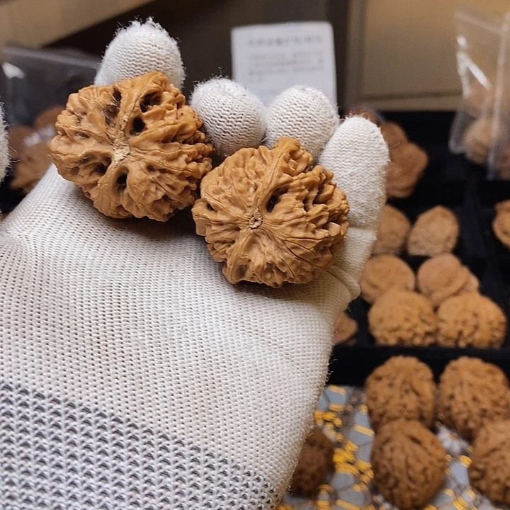 文玩核桃把件用****7秦岭野生九龙筋