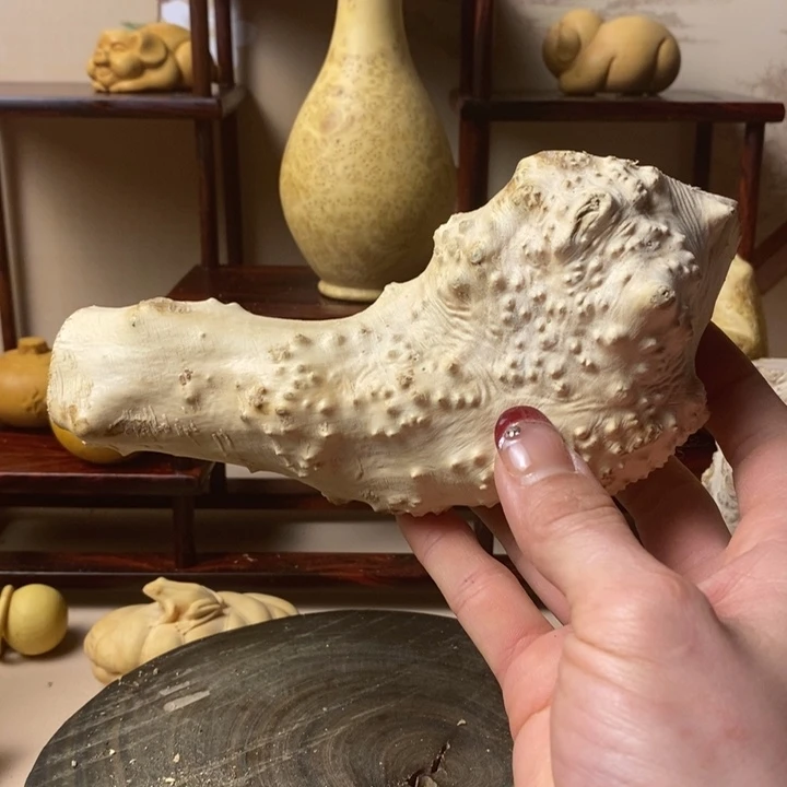 香榧木新*黄杨木shoubaj