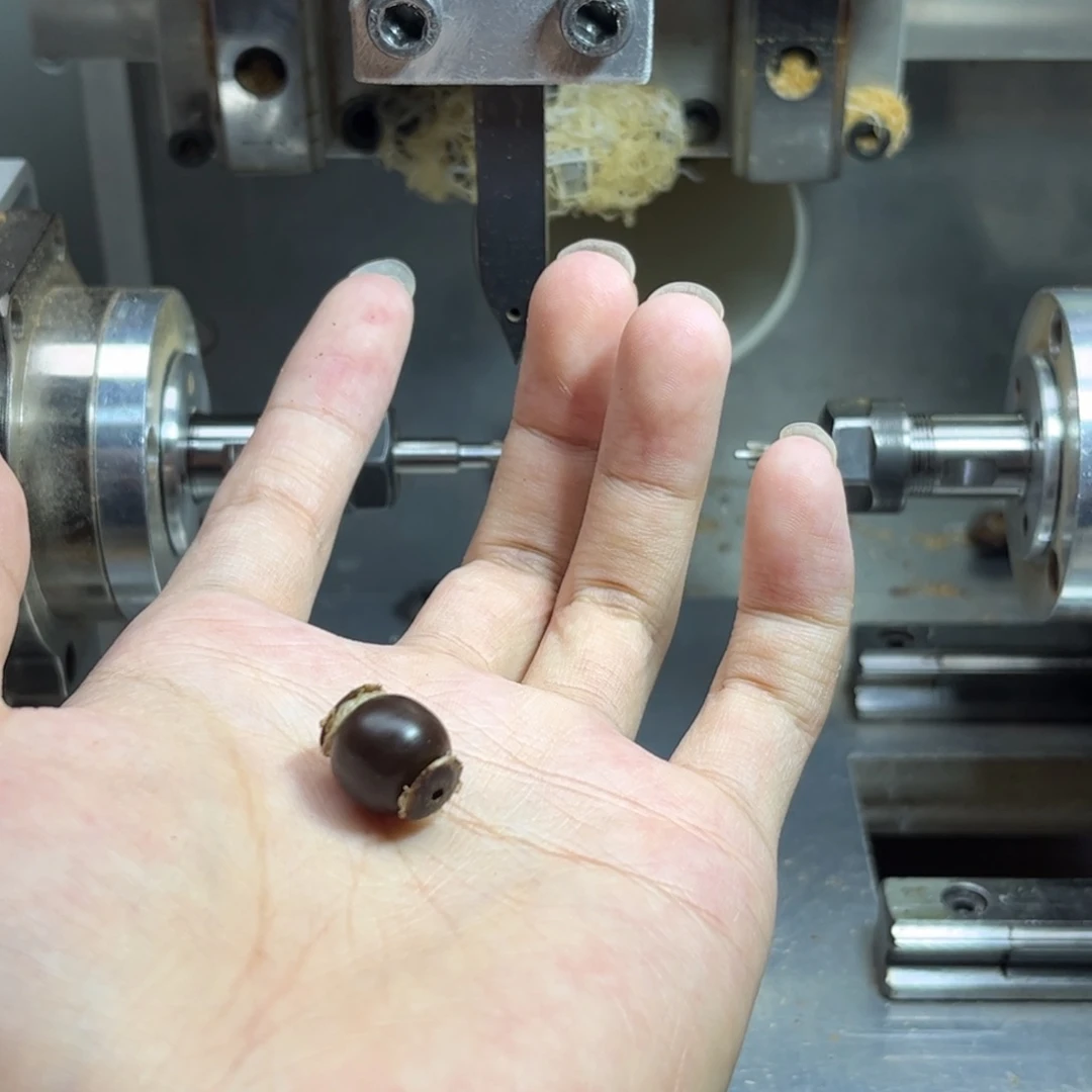 曾***么吊坠菩提根/象牙果