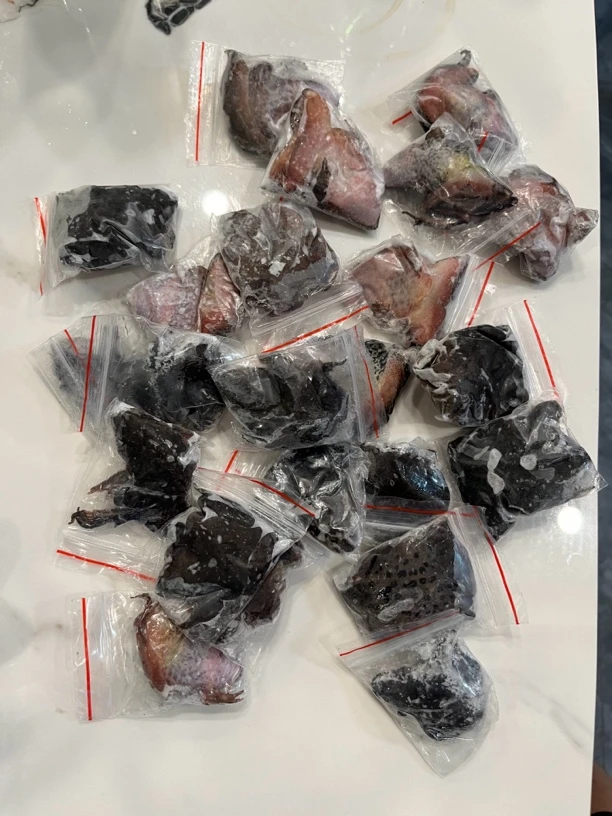 “独立包装”人工养殖东北蛤蟆 雷龙鱼冻品饲料