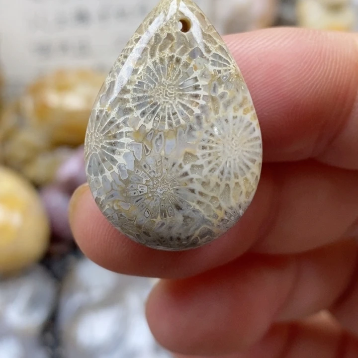 颈饰未镶嵌硅化珊瑚（珊瑚玉）小