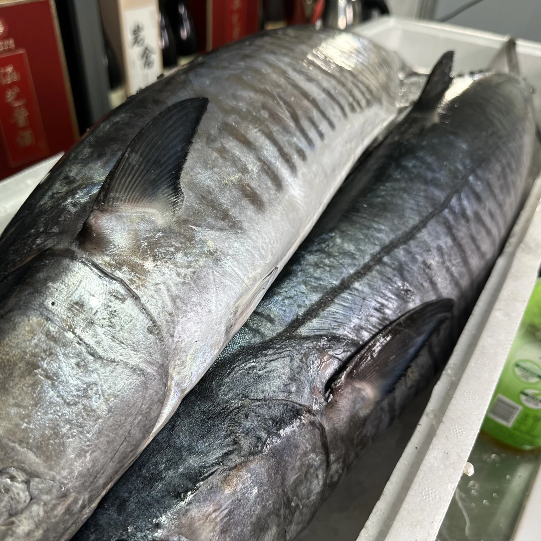 20斤上【康氏马鲛鱼】海南鲜口鲜活切片 (3斤起拍）