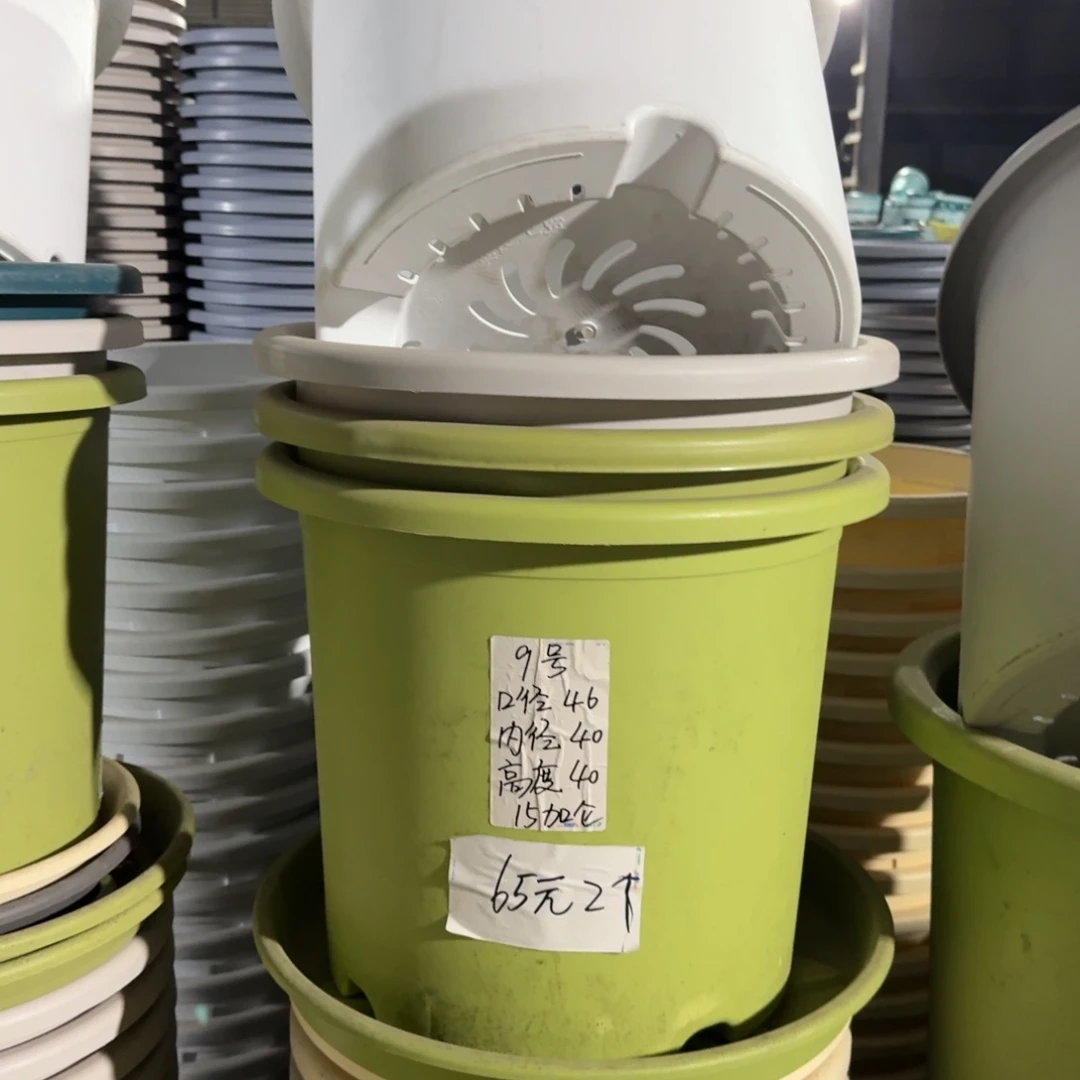 四季9#口径46无拖果绿3个