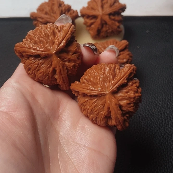两***蜂核桃核桃核桃核桃
