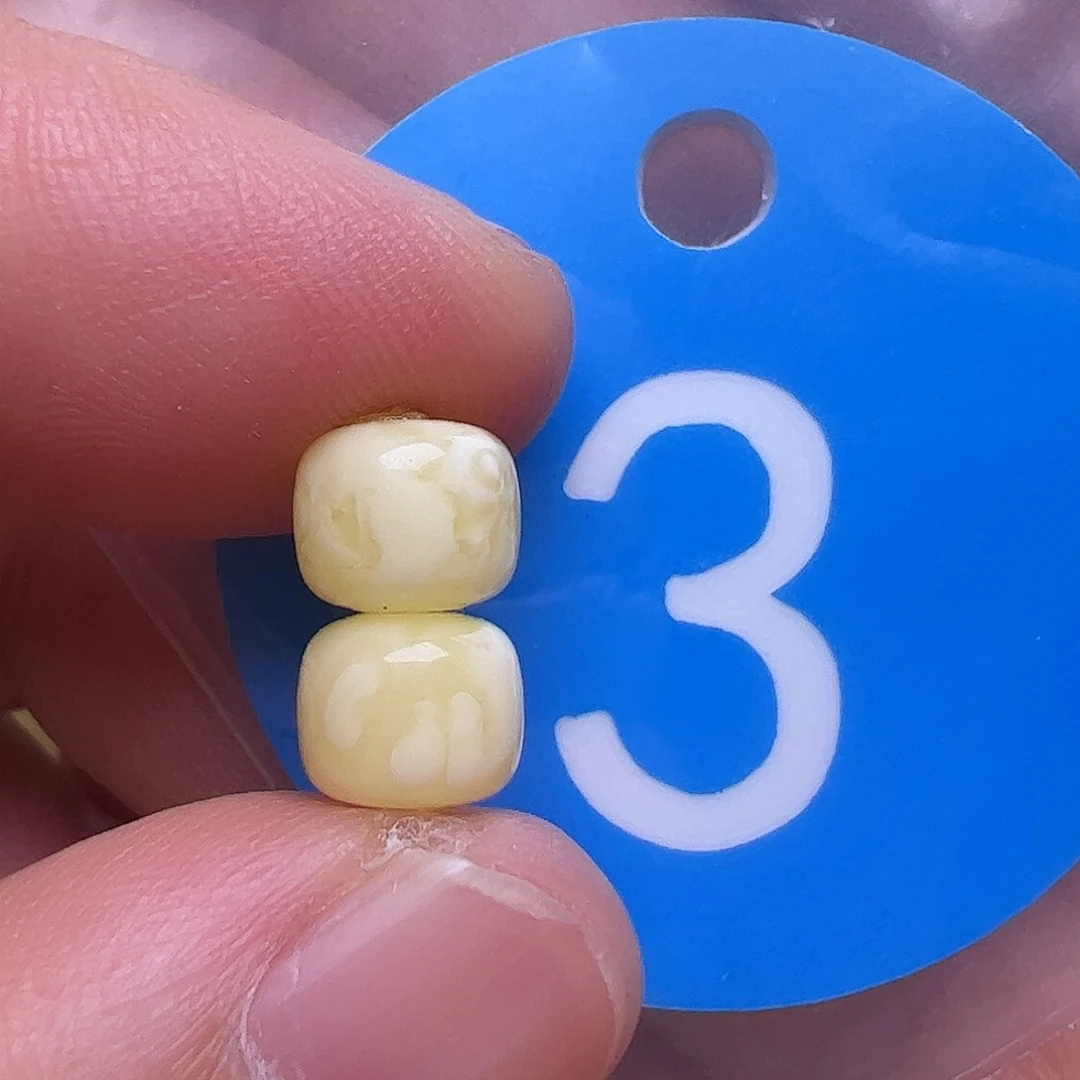 未镶嵌蜜蜡裸石6.6m m