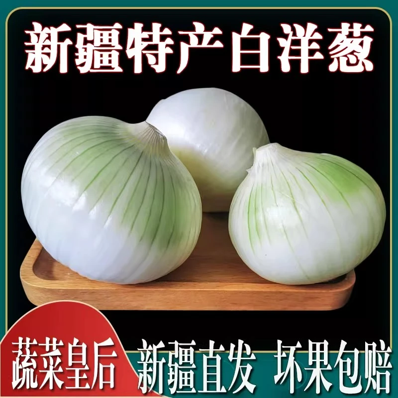 【攒劲专属】新疆特产白洋葱白皮牙子新鲜蔬菜5斤.