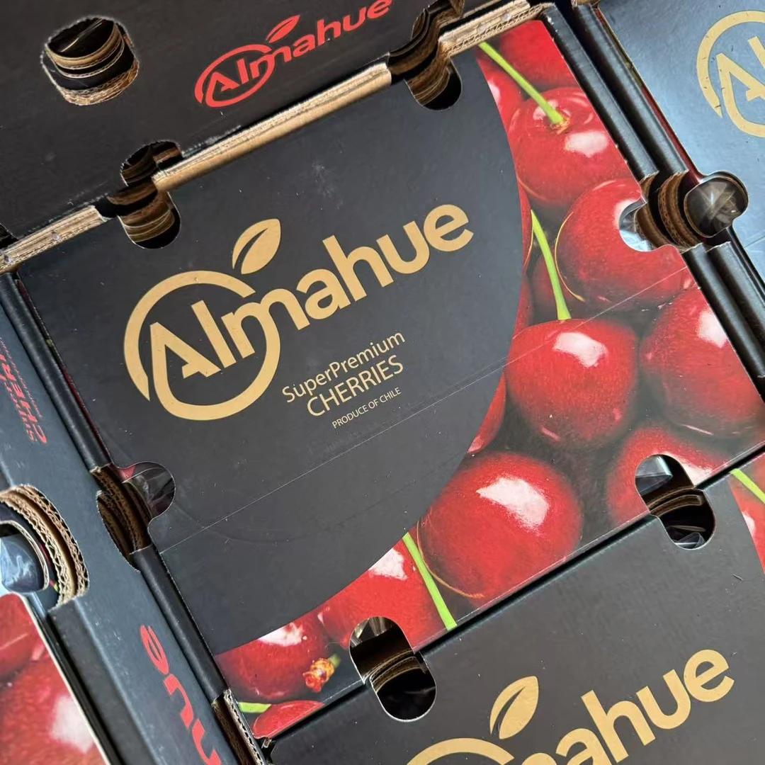 黑武士桑提娜3JD智利进口海运车厘子现货原箱车厘子包邮5斤内附果径卡桑提娜樱桃智利共和国