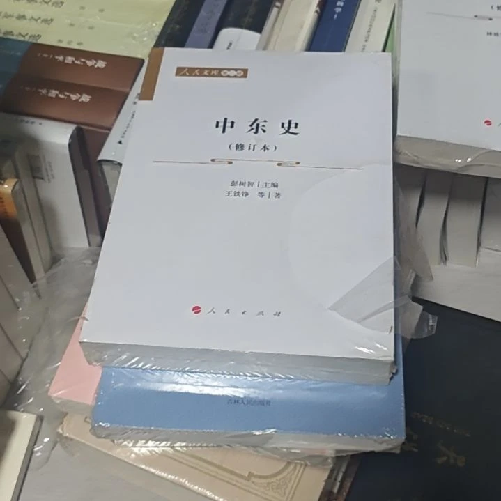 中东史平装库存书