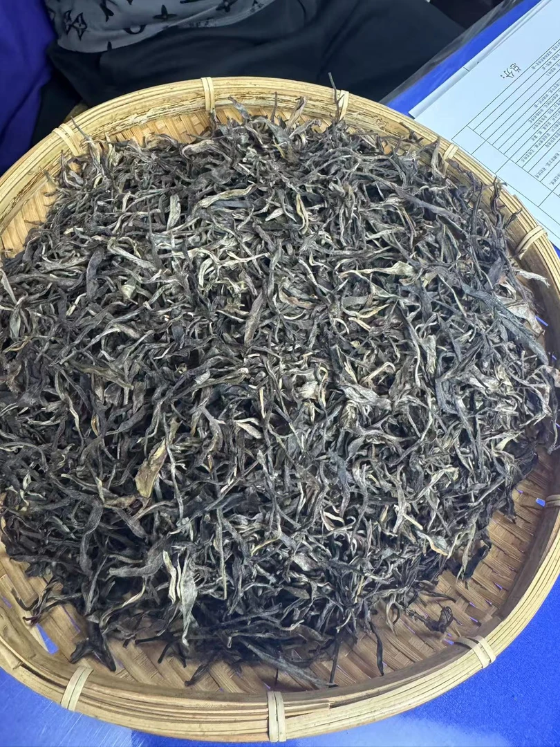 【189】2019年章朗古树 生茶