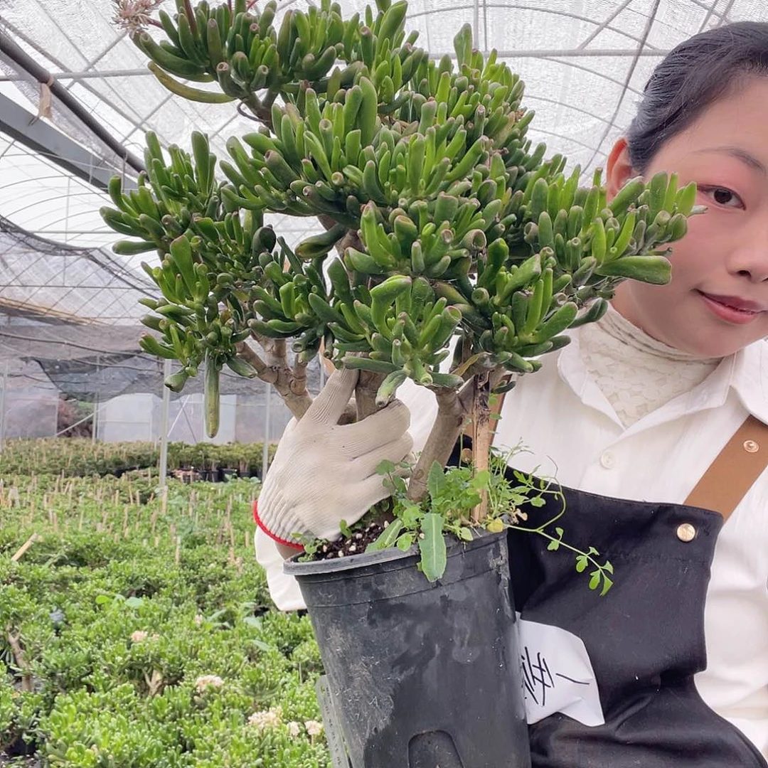 一物一拍一单包邮