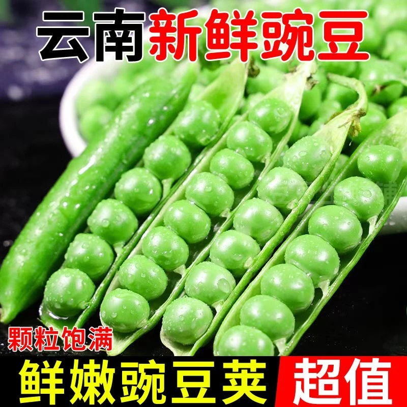 云南高山甜脆蔬菜豌豆云南新鲜带壳甜脆蔬菜豌豆现摘现发