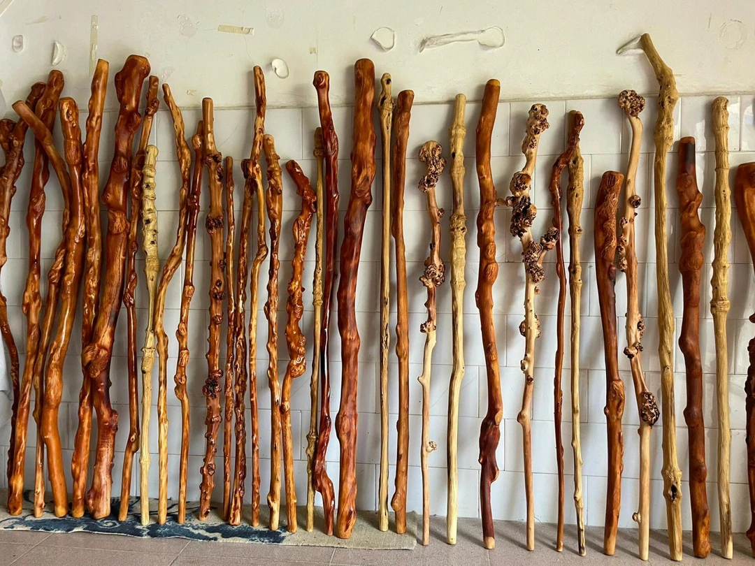 黑果木、红果木、对节木手杖