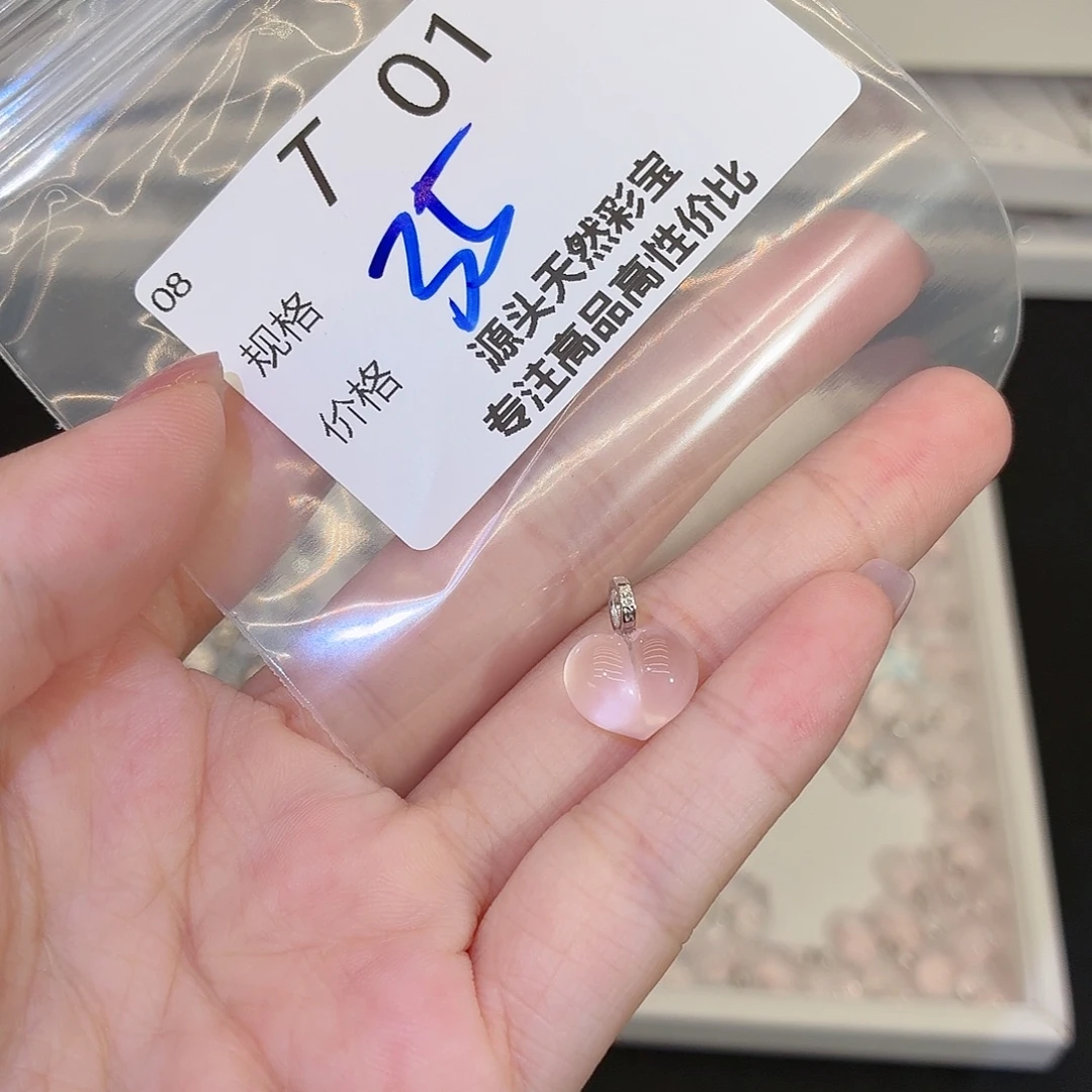 颈饰银S925镶嵌水晶t01