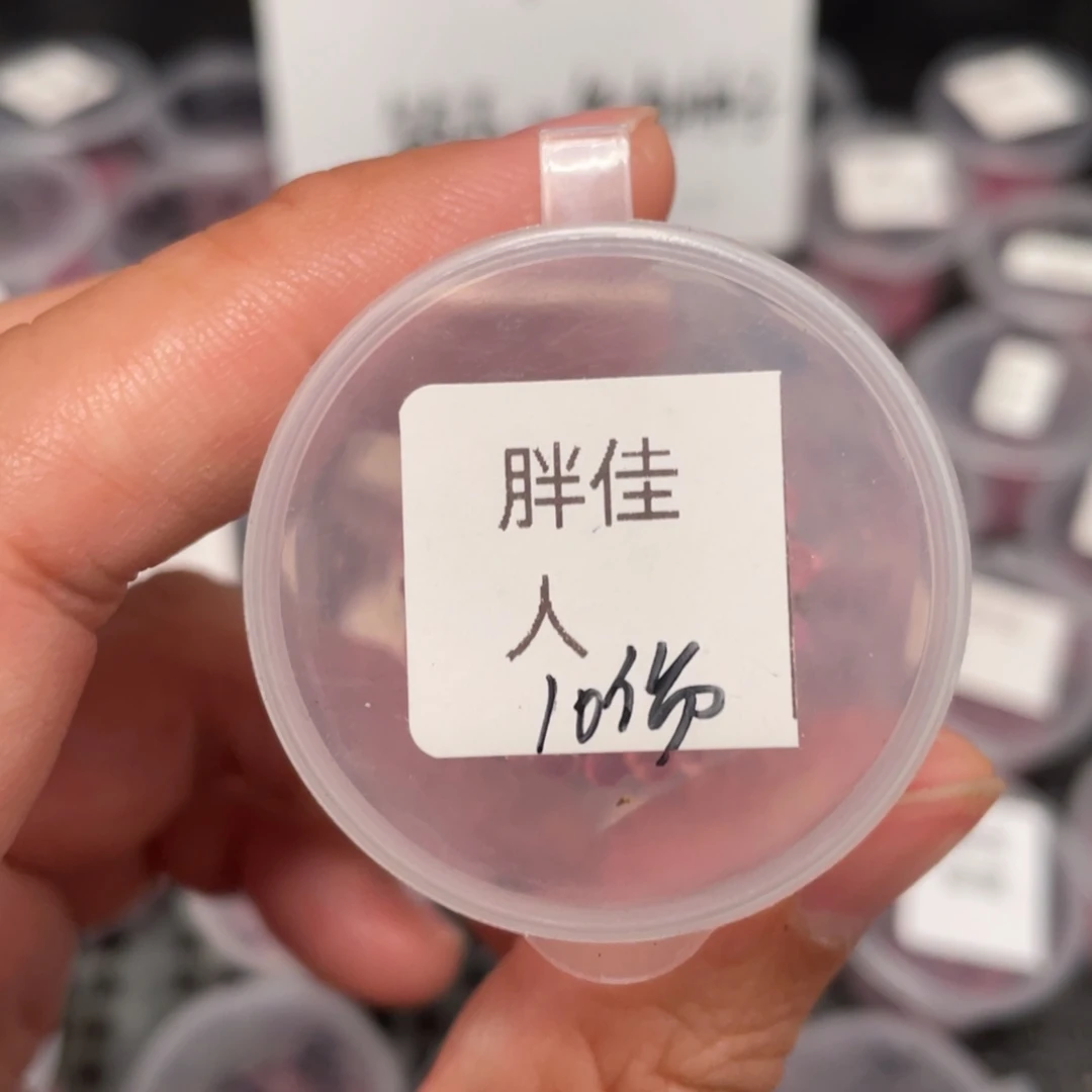 胖妈珍妮✖️佳人20粒