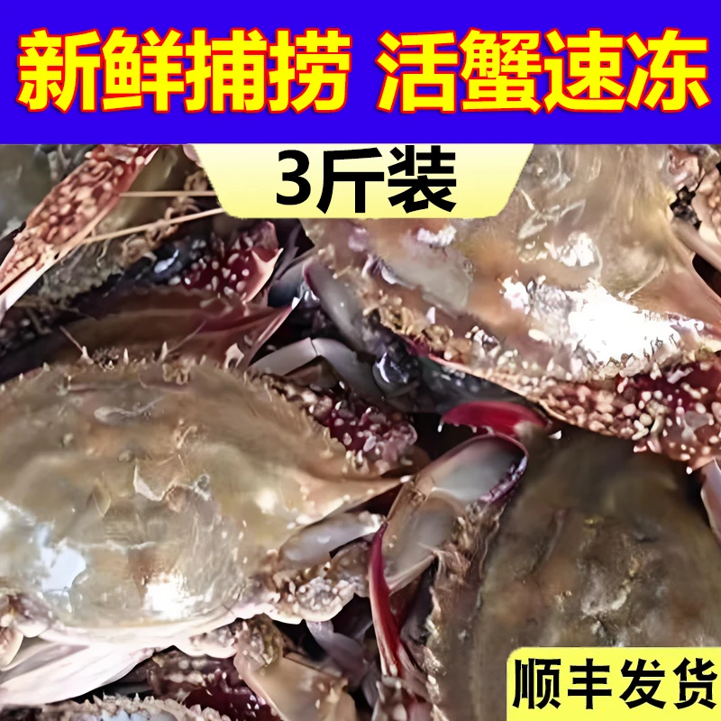 【冻蟹】梭子蟹3斤5-10只2-6两特大野生海捕新鲜飞蟹螃蟹海鲜水产