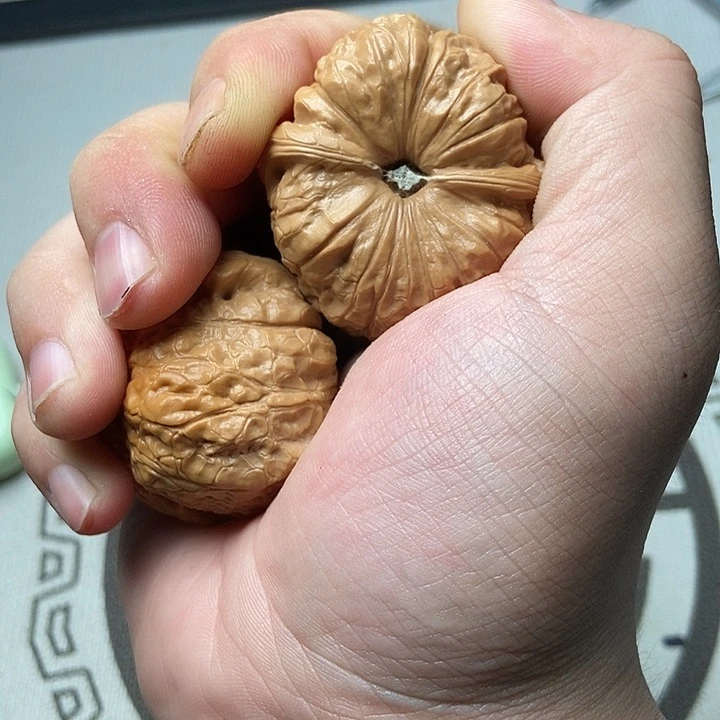 大***智核桃种植基地面积已占