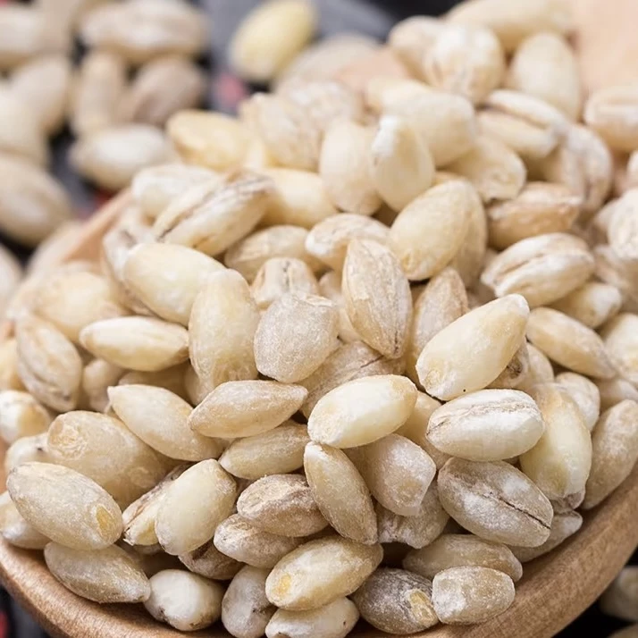 麦仁麦子小麦粒小麦米新麦脱皮煲汤杂粮粥煮粥