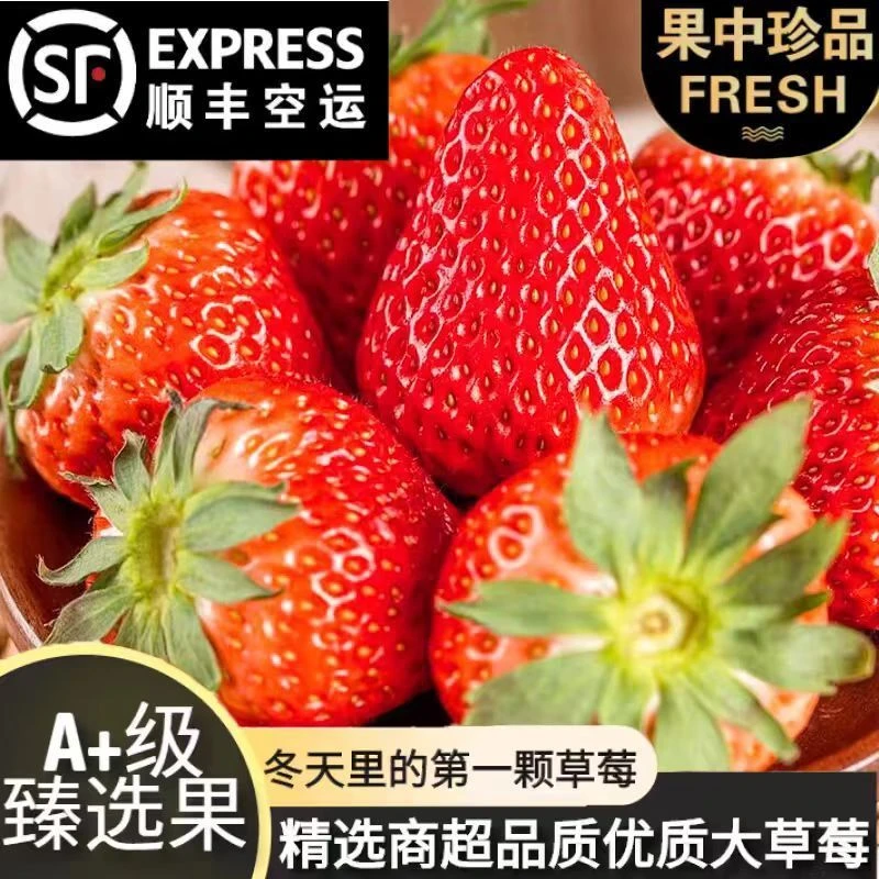 顺丰包邮-果王】辽宁丹东九九鲜草莓礼盒牛奶油红颜白草长丰大凉山