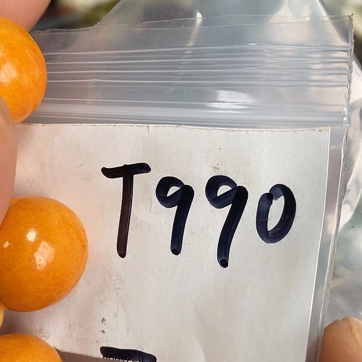 气***人民间喜乐购专项链接