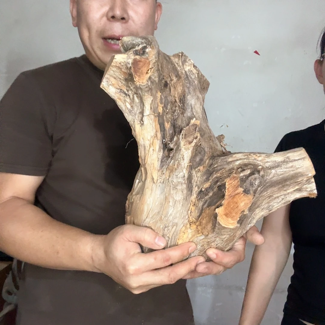 河***木太行崖柏摆件摆件