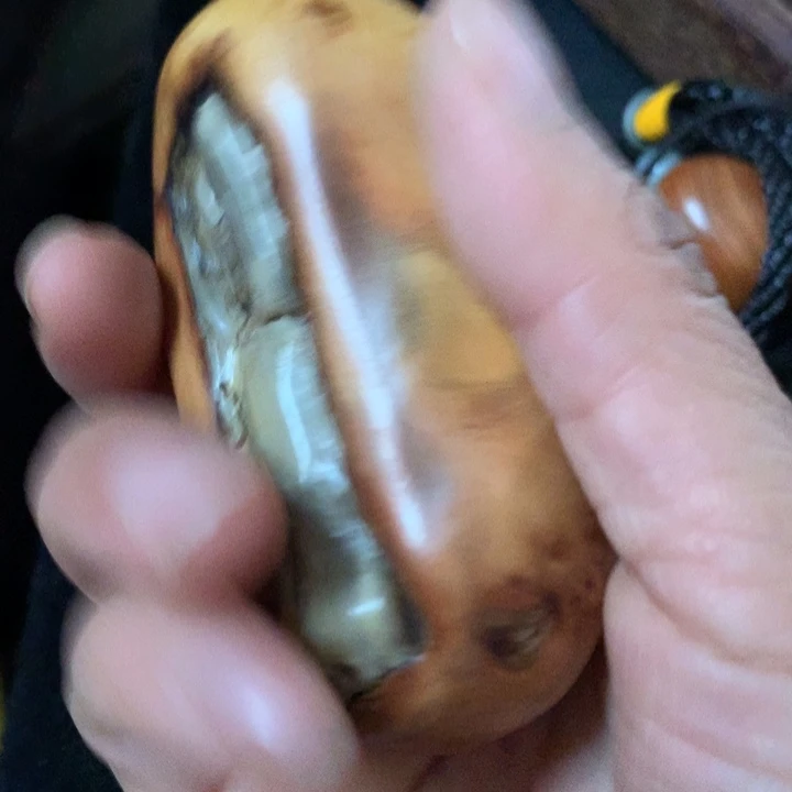 毅***行木太行风化木摆件