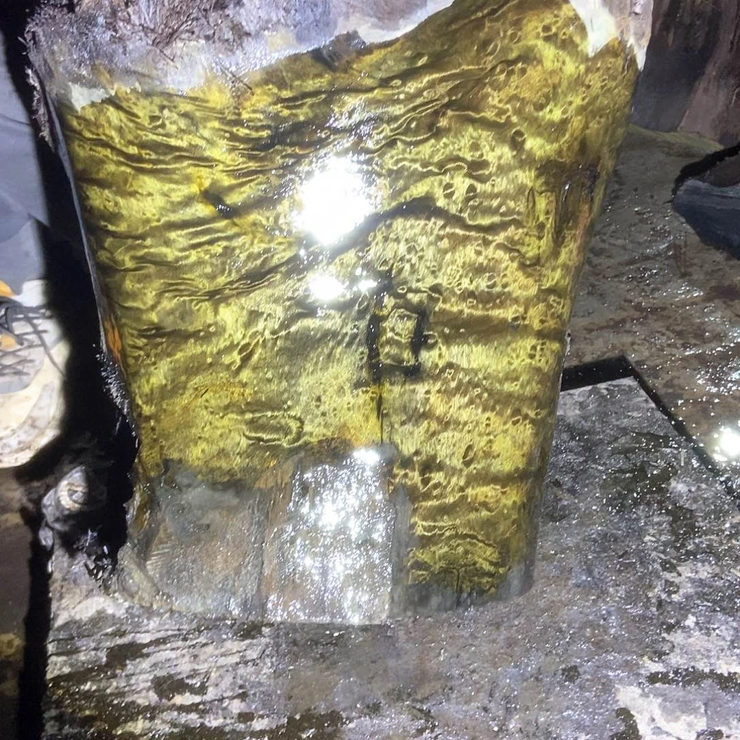 雪*金丝楠阴沉木毛料