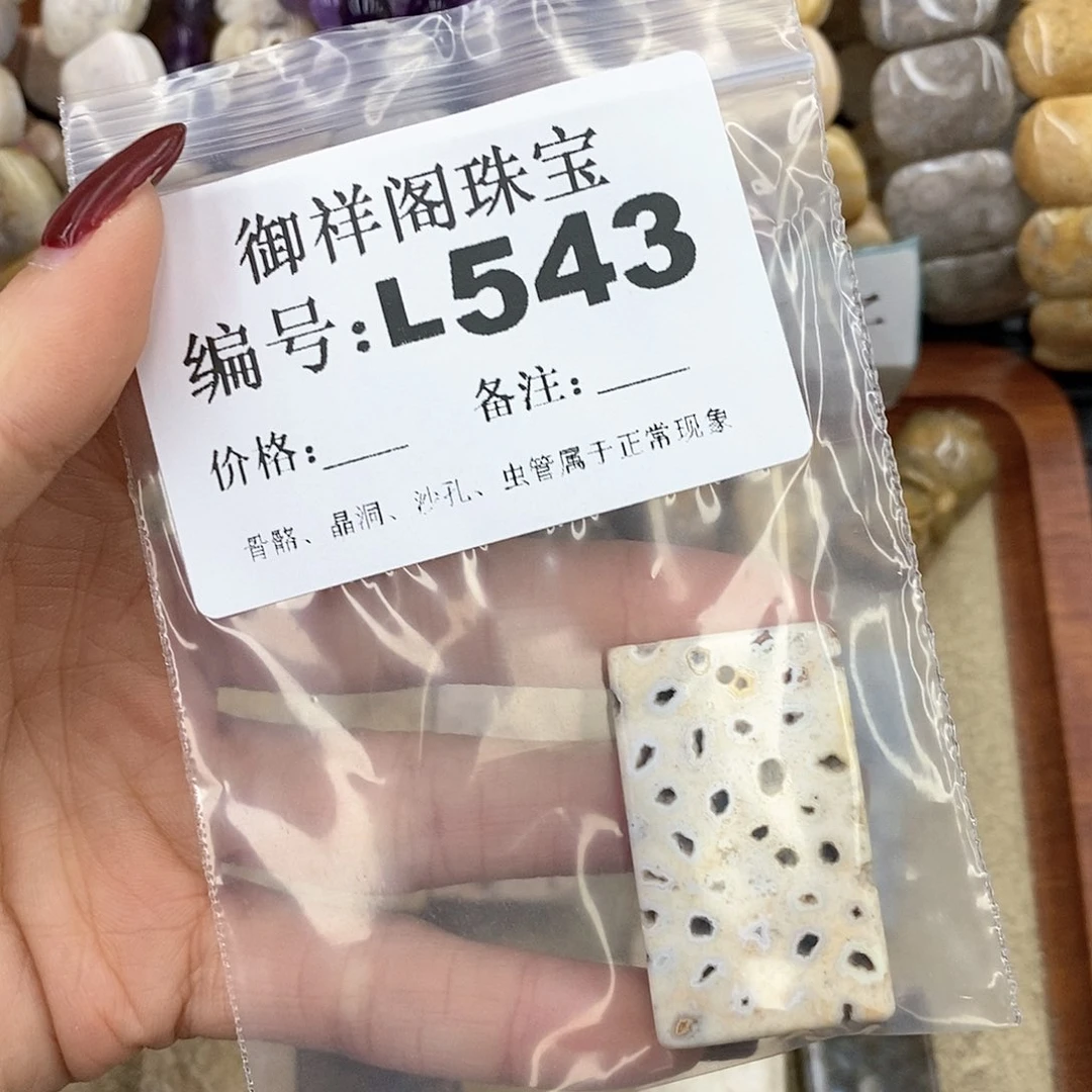 硅化珊瑚（珊瑚玉）L未镶嵌澜