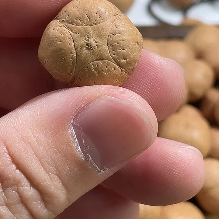 凤眼菩提吊坠尼泊尔小凤眼