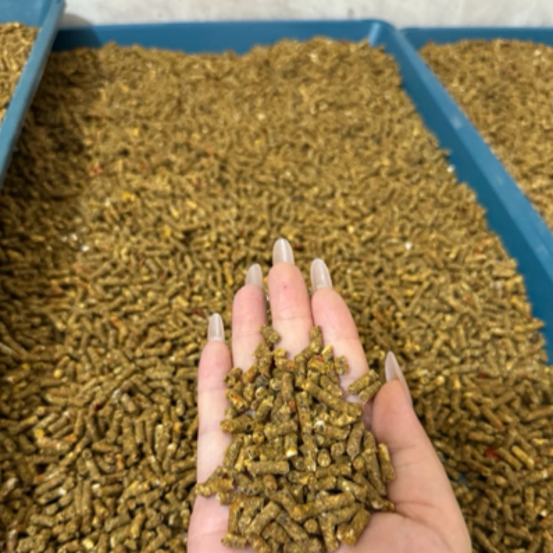 养殖自制滋养丸不吃包退营养均衡坚果蔬菜谷物小太阳和尚一粮搞定