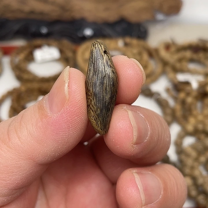 柬埔寨沉香花香浓郁