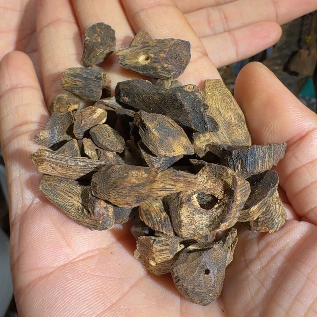 文***青沉香碎屑沉香海南乌身老料沉水树丁20克