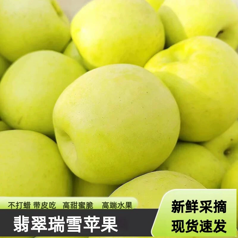 顺丰速递/山西吉县苹果瑞雪苹果新鲜纯甜无酸应季水果产地直发