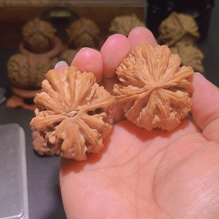 文玩核桃把件九龙筋