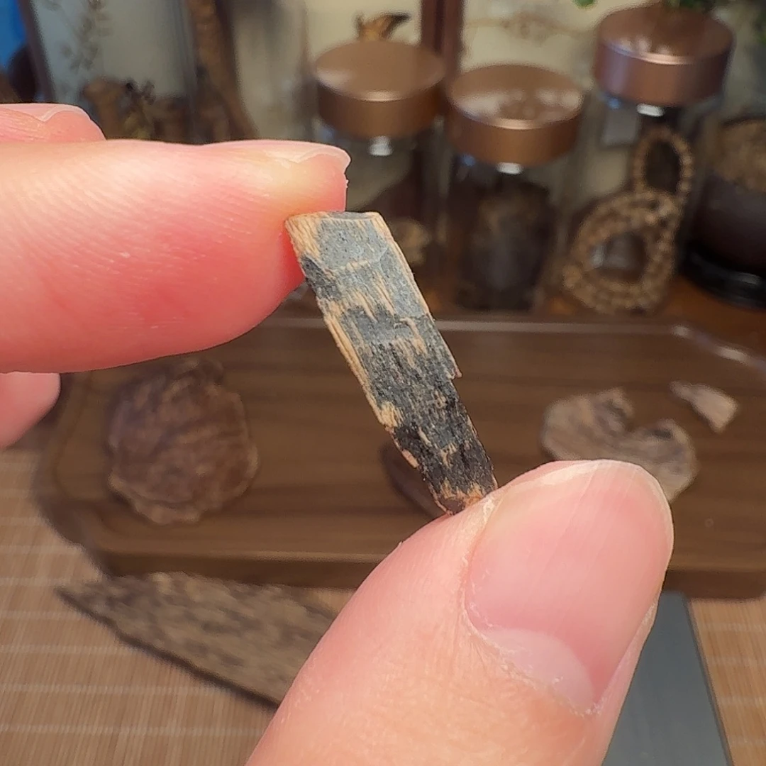 沉香斯里兰卡瓜子