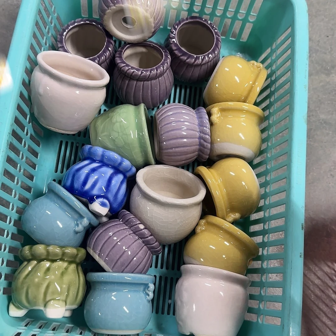 18个福利局绿植多肉盆［凑9元包邮24小时发］