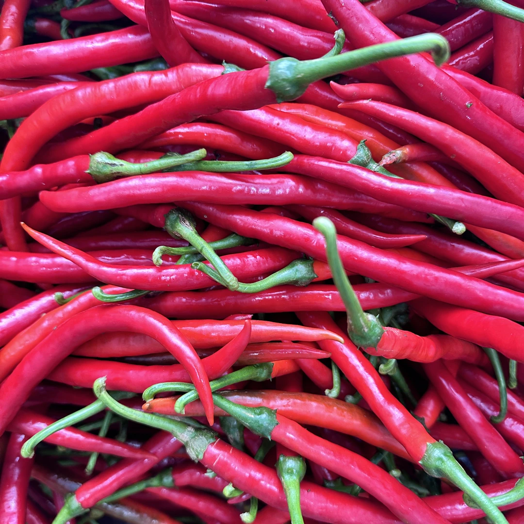 农家自种新鲜红辣椒中微辣可做剁椒泡椒辣椒酱