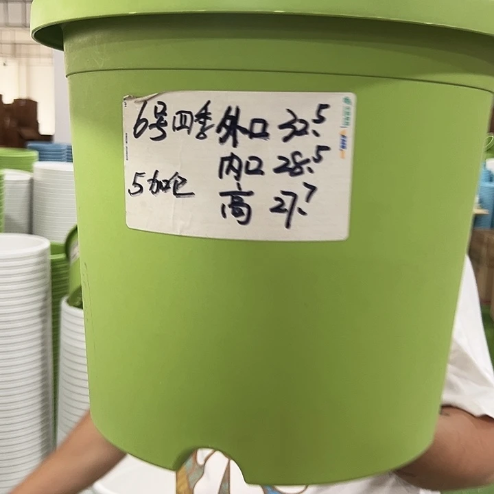 特价6号四季口32高28混色7个无托