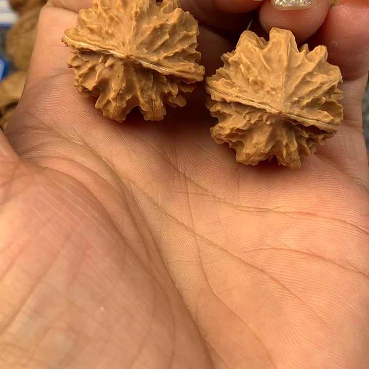 龙脊。
