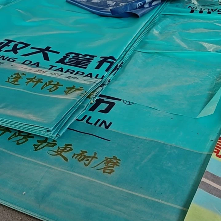 绒质哈哈哈哈哈哈哈哈哈哈哈